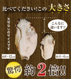 5種の福袋セット　福袋5種類のおすすめ鍋が楽しめる♪