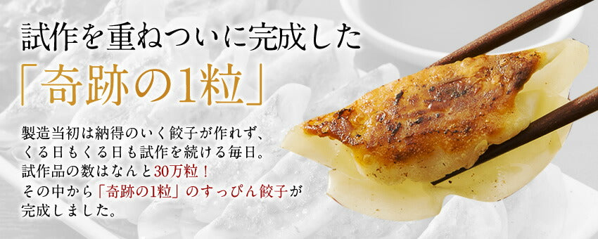 奇跡の一粒「すっぴん」餃子300個