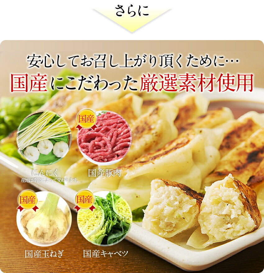 奇跡の一粒「すっぴん」餃子300個